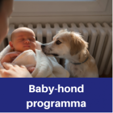 Baby-Hond programma