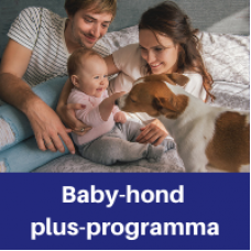 Baby-Hond Plus programma